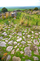 Image showing volubilis in morocco africa the  monument and  