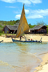 Image showing pirogue beach seaweed  nosy be  people   sand isle       rock