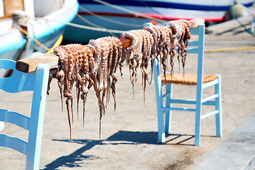 Image showing octopus   drying  in  