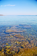 Image showing brown  stone in  coastline  t ocean white sky