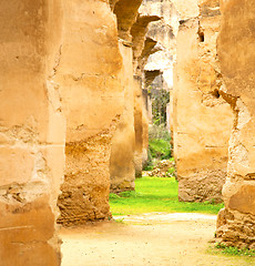 Image showing old moroccan granary in the green grass and archway  wall