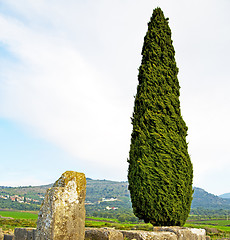 Image showing volubilis in morocco cypress  roman deteriorated monument  