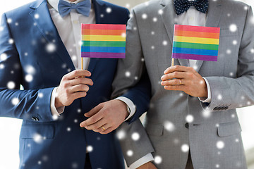 Image showing close up of male gay couple holding rainbow flags