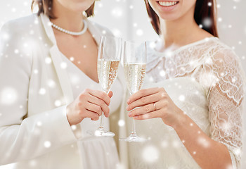 Image showing close up of lesbian couple with champagne glasses