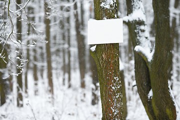 Image showing Winter forest, empty sign