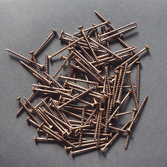 Image showing Wood screw