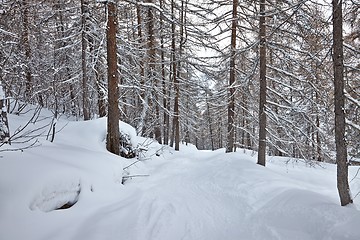 Image showing Winter Path with Snow