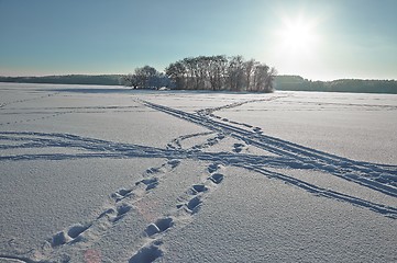 Image showing Winter Landscape, Frozen Lake