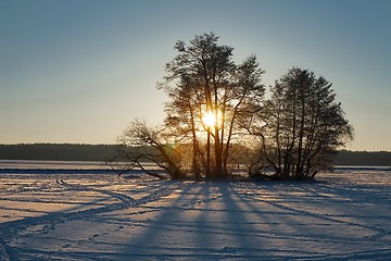 Image showing Winter Sunset Landscape