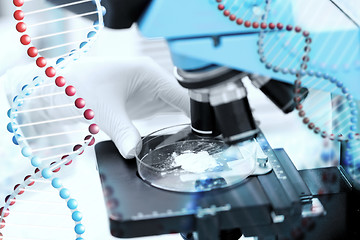 Image showing close up of hand with microscope and powder sample