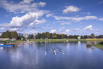 Image showing Training rowing on the lake Jarun