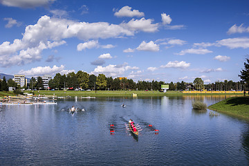 Image showing Training rowing on the lake Jarun