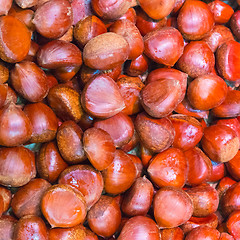 Image showing Pile of chestnuts.