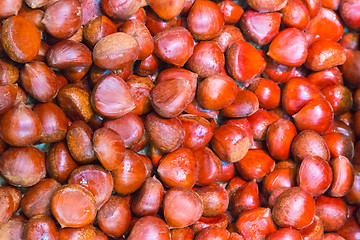 Image showing Pile of chestnuts.