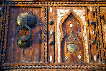 Image showing shell  brown  rusty      morocco in africa   old wood 