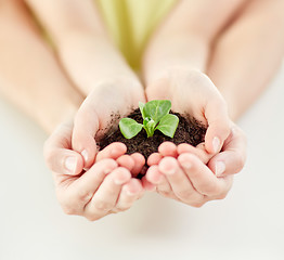 Image showing close up of child and parent hands holding sprout