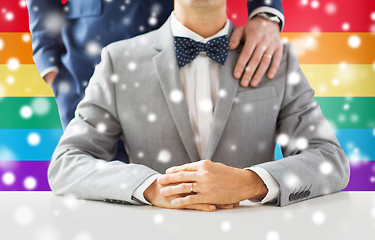 Image showing close up of male gay couple with wedding rings on