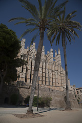 Image showing Palma Cathedral