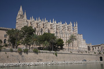 Image showing Palma Cathedral