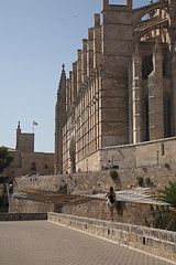 Image showing Palma Cathedral