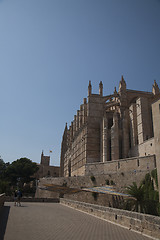 Image showing Palma Cathedral