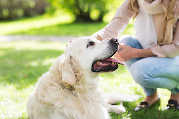 Image showing close up of woman with labrador dog on walk