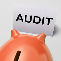 Image showing Audit Piggy Bank Shows Inspect Analyze And Verify