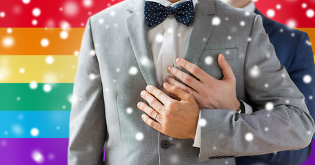 Image showing close up of male gay couple with wedding rings on