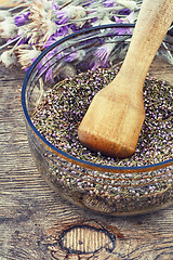 Image showing Dried medicinal plants