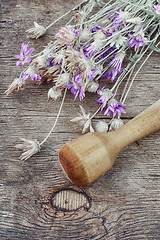 Image showing Dried medicinal plants