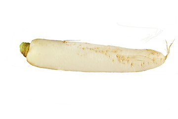 Image showing  tasty vegetable celery 