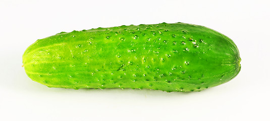 Image showing tasty vegetable cucumber  