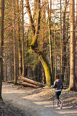 Image showing Woman hiking in nature. 