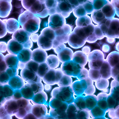 Image showing cells