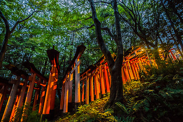 Image showing Fushimi Inari Taisha Shrine, Kyoto, Japan.