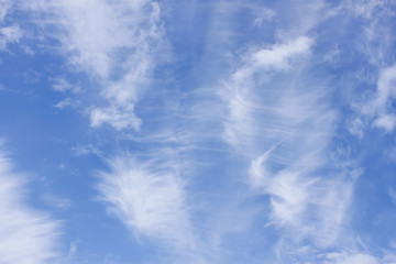 Image showing High clouds in early summer