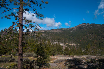 Image showing Yosemite Valley View