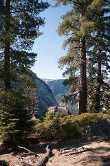 Image showing Hiking in forest