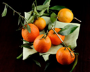 Image showing Ripe Tangerines with Leafs