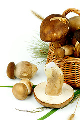 Image showing Raw Boletus Mushrooms