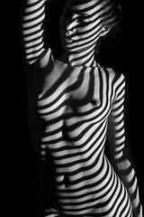 Image showing The  body of woman with black and white zebra stripes