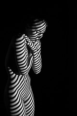 Image showing The  body of woman with black and white zebra stripes