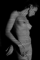 Image showing The  body of woman with black and white zebra stripes