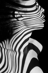 Image showing The face of woman with black and white zebra stripes