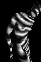Image showing The  body of woman with black and white zebra stripes