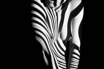 Image showing The  body of woman with black and white zebra stripes