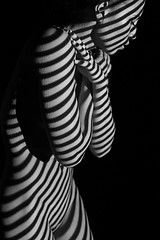 Image showing The  body of woman with black and white zebra stripes