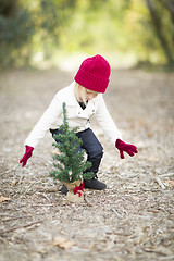 Image showing Girl In Red Mittens and Cap Near Small Christmas Tree