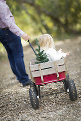 Image showing Father Pulls Baby Girl in Wagon with Christmas Tree