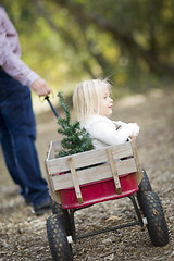 Image showing Father Pulls Baby Girl in Wagon with Christmas Tree